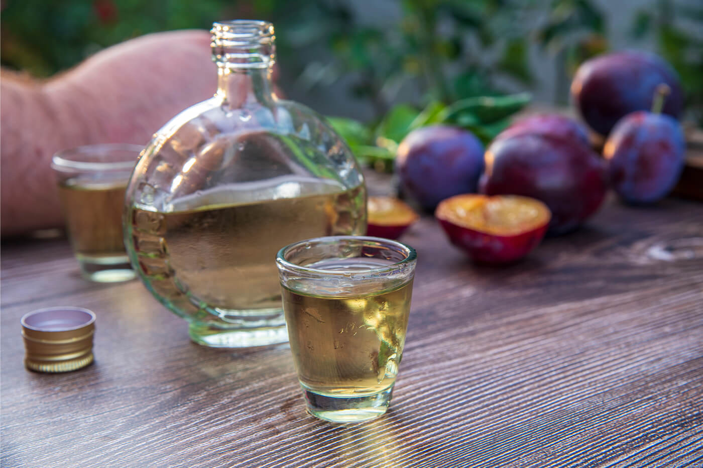 gastro slavonija baranja rakija