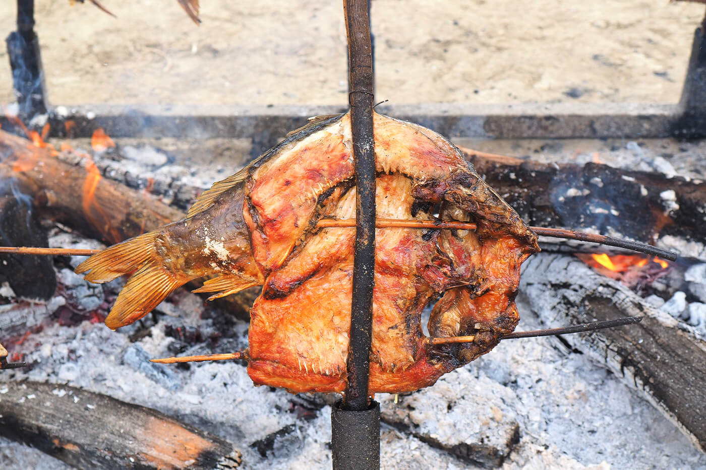gastro slavonija baranja saran